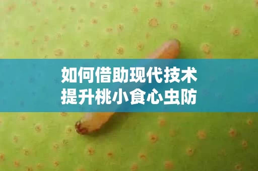 如何借助现代技术提升桃小食心虫防治效果