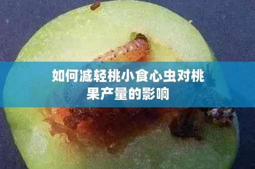 如何减轻桃小食心虫对桃果产量的影响