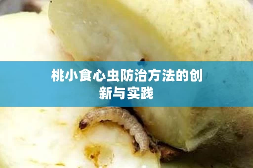 桃小食心虫防治方法的创新与实践
