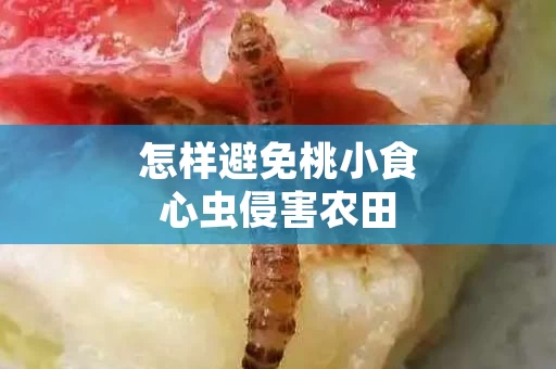 怎样避免桃小食心虫侵害农田