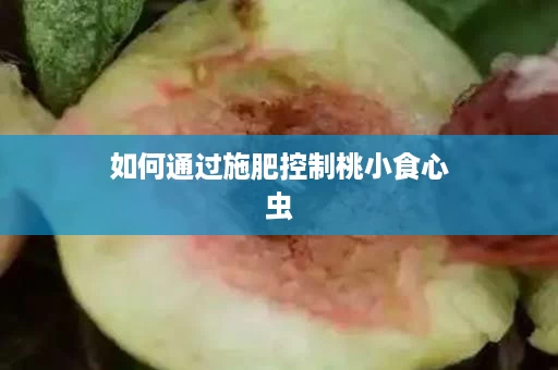 如何通过施肥控制桃小食心虫