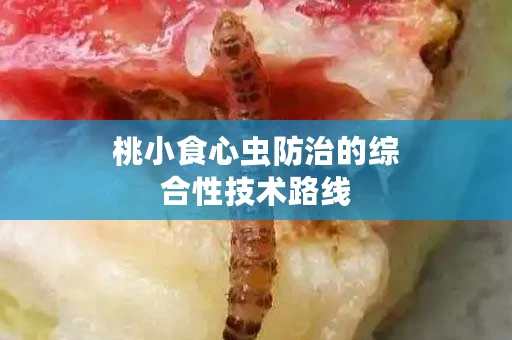 桃小食心虫防治的综合性技术路线