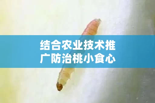 结合农业技术推广防治桃小食心虫