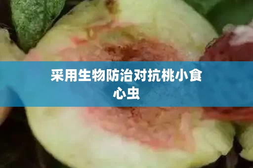 采用生物防治对抗桃小食心虫