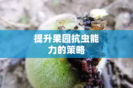 提升果园抗虫能力的策略