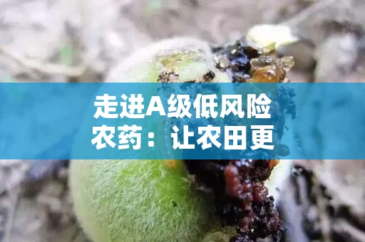 走进A级低风险农药：让农田更安全的防护盾